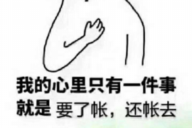 交城融资清欠服务